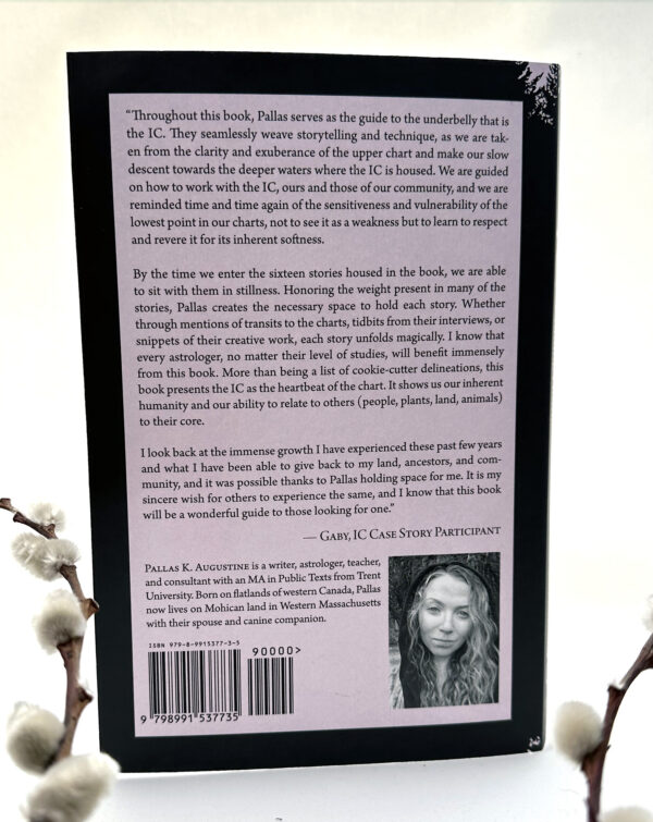 The IC: An Astrology of Coming Home - 2nd Edition (Print) - Image 2