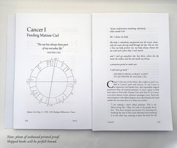 The IC: An Astrology of Coming Home - 2nd Edition (Print) - Image 6
